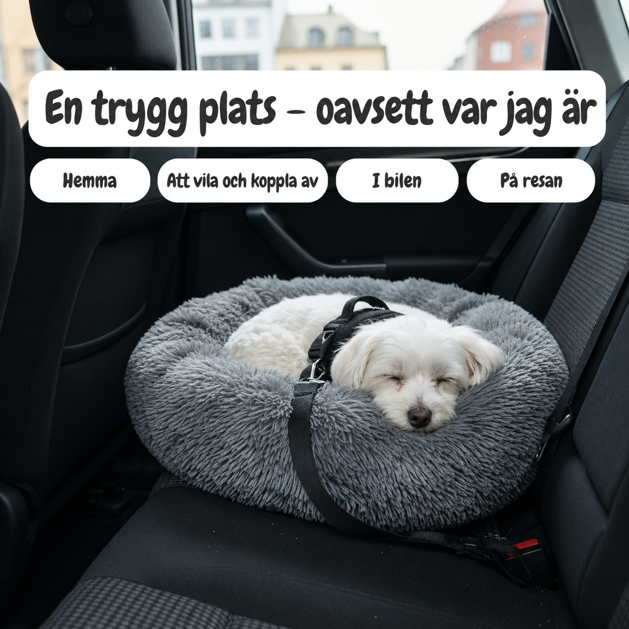 Sorva Donutbädd för hundar