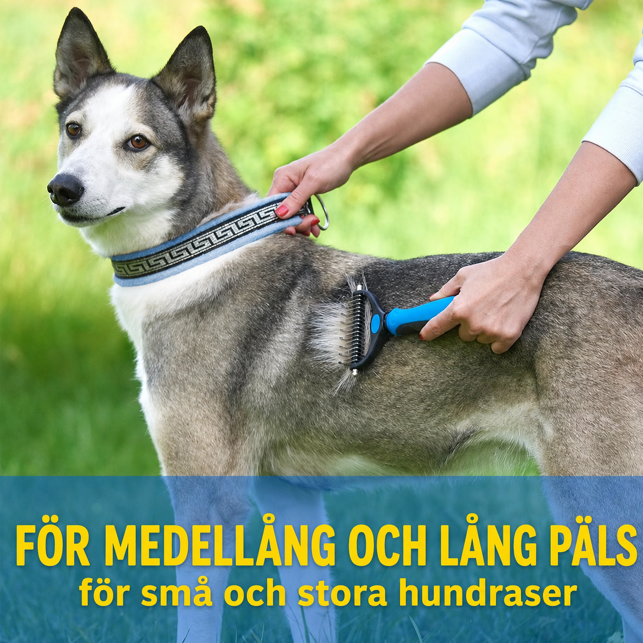 Sorva Pälsborste för hund och katt