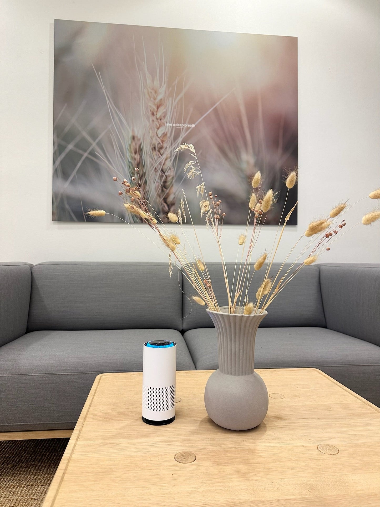 Sorva AirPure™ – kompakt luftrenare för fräschare luft 🌿