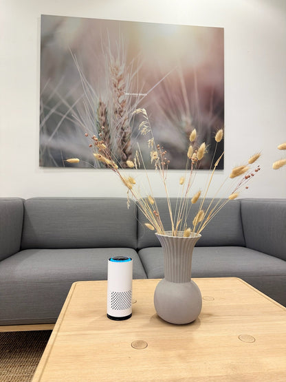 Sorva AirPure™ – kompakt luftrenare för fräschare luft 🌿
